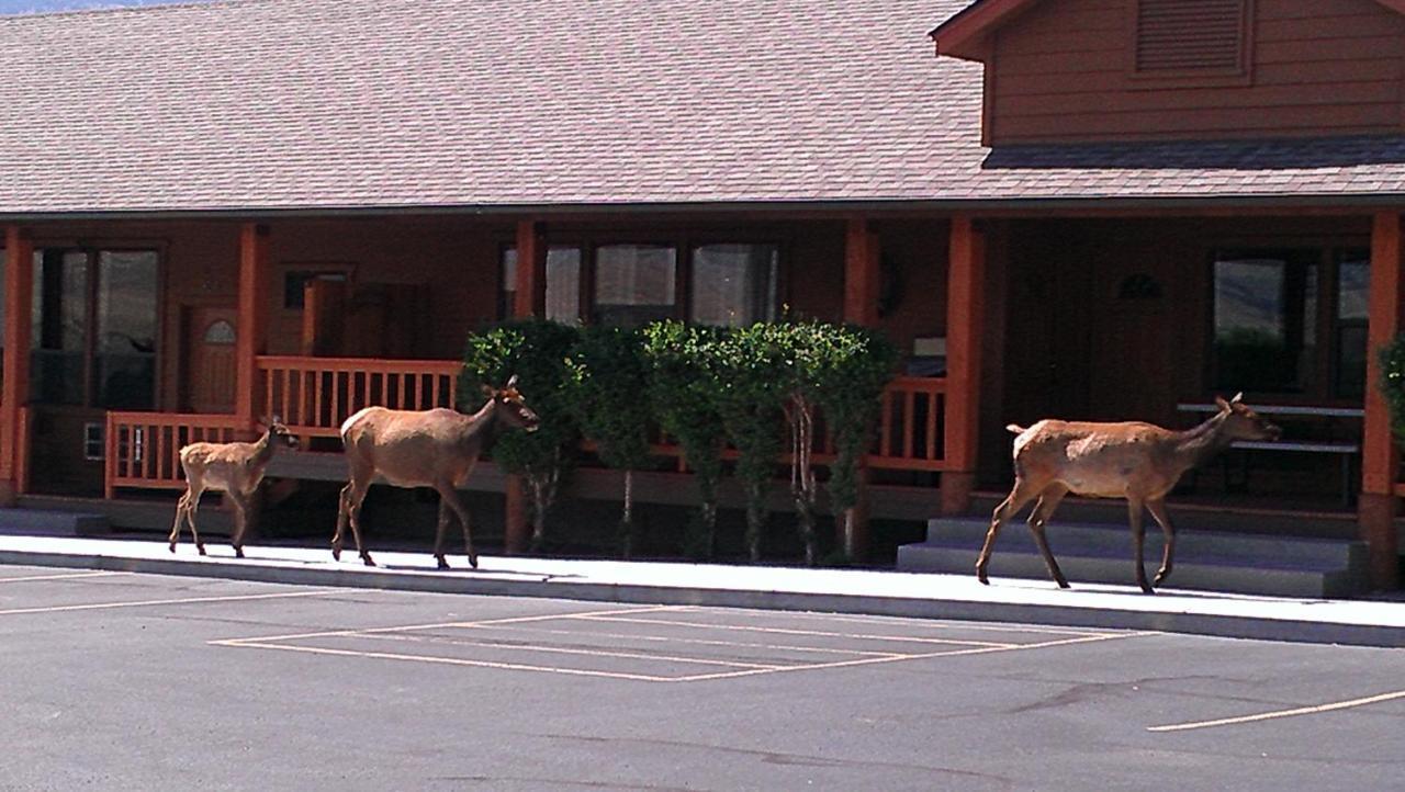 Yellowstone Village Inn And Suites 가디너 외부 사진